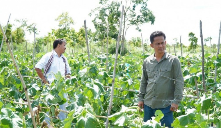 មានដីតូច របរមួយនេះ អាចរកចំណូល បានដល់ ៦០០ដុល្លារ ក្នុងរយៈពេល ៦៥ថ្ងៃ