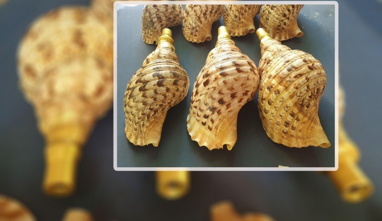 មកស្វែងយល់ពីឧបករណ៍ភ្លេងបុរាណ «​ខ្យង​ស័ង្ខ» របស់ខ្មែរ ដែលនិយមប្រើក្នុងរាជវាំង