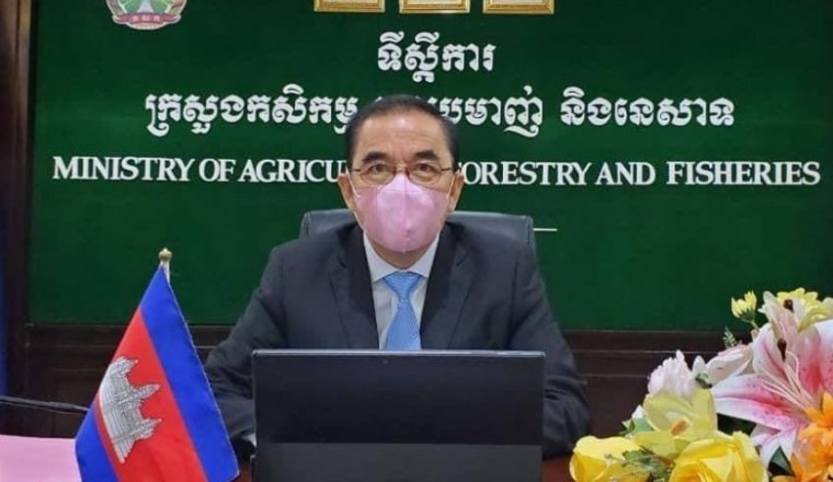 ក្រសួងកសិកម្មថាមិនធ្លាប់ចេញអាជ្ញាបណ្ណនាំចេញឈើកម្រទៅក្រៅប្រទេស បន្ទាប់ពីហុងកុងបានចាប់ឈើកម្រជាង២០០តោន